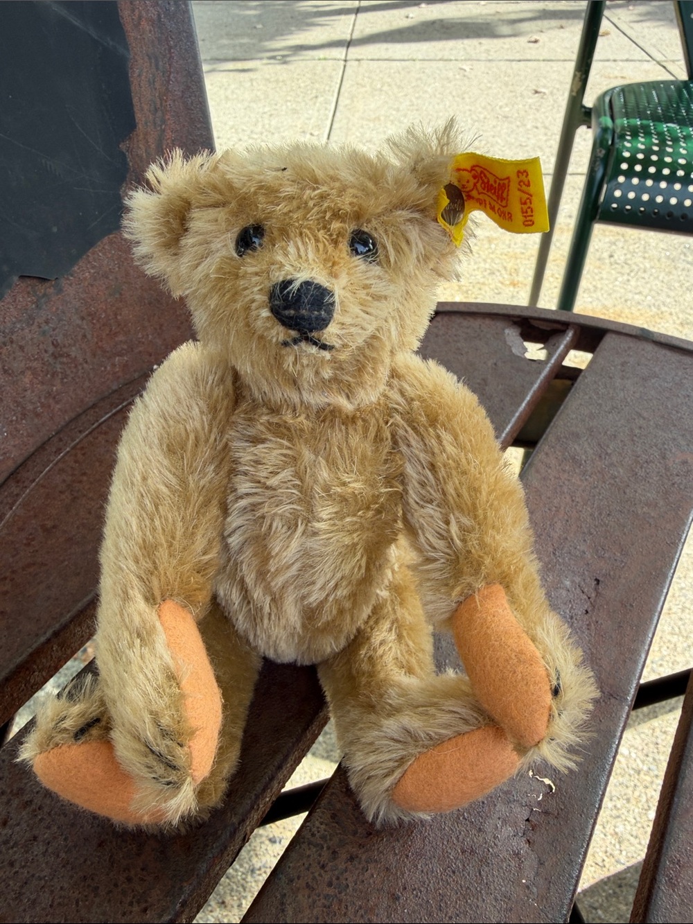 Classic Steiff Teddy Bear with - Steiff Tagged